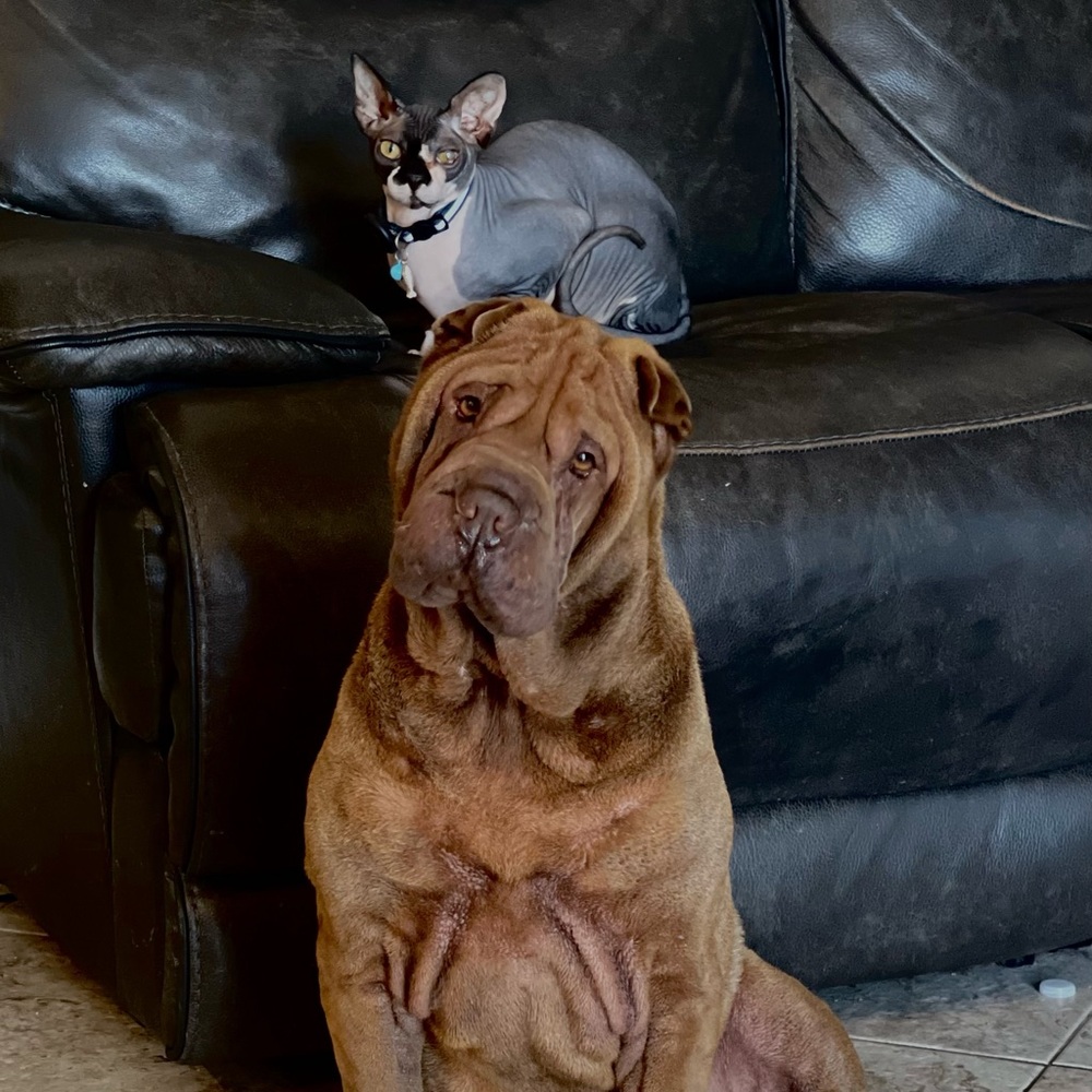 🎉💥BIG SALE!!💥🎉 Get ur instant notification